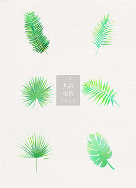 熱帶植物ai矢量淡綠元素素材