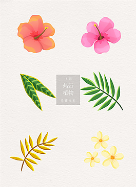熱帶植物ai矢量元素花朵清新葉子