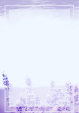薰衣草清新海報(bào)背景