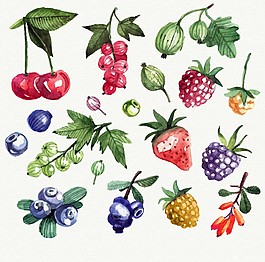 清新水彩繪水果插畫