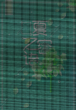 綠色質(zhì)感底紋夏之密語促銷海報(bào)