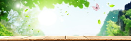清新夏日端午背景設計