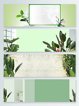 綠植文藝夏季上新banner背景