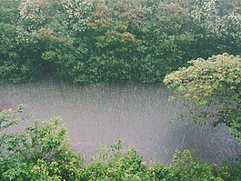 清脆的滴雨的声音