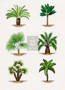 手繪熱帶植物樹木
