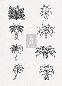 手繪熱帶植物插畫