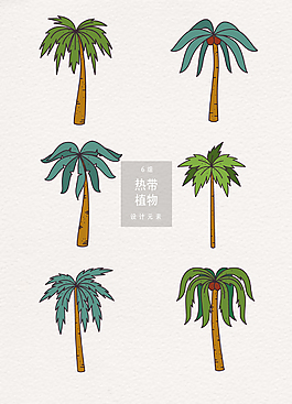 手绘椰树插画
