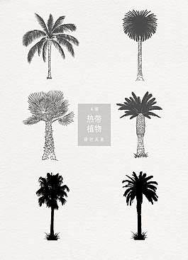 手繪夏季熱帶植物素材