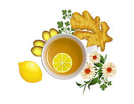 健康养生柠檬姜茶矢量图