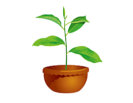 小清新花盆綠植元素
