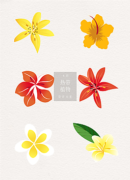 花朵花卉素材ai熱帶植物矢量元素