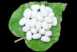 蚕丝png免扣素材