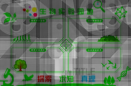 生物实验园地背景墙