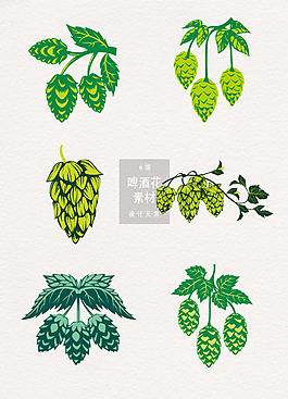 手繪啤酒花矢量素材