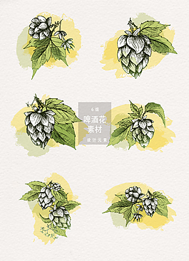 啤酒花矢量素材圖案