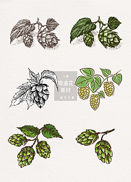 手繪啤酒花素材