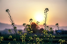 隆重大氣節奏背景音效素材