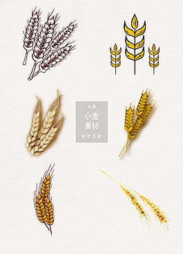 手繪小麥設(shè)計元素