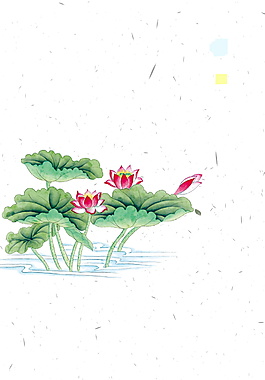 中國風彩繪荷花盛開夏季廣告背景素材