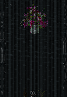 手绘盆栽黑色背景效果图