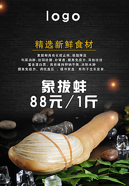 象拔蚌促銷海報