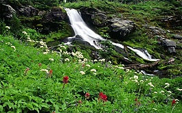 環(huán)境宣傳片音效背景