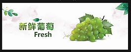 新鮮美味的葡萄海報(bào)