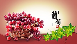 美味的葡萄海報(bào)