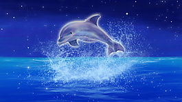 蓝色海洋海豚背景素材