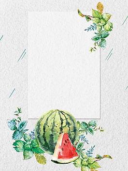 西瓜成熟季節(jié)夏至背景素材