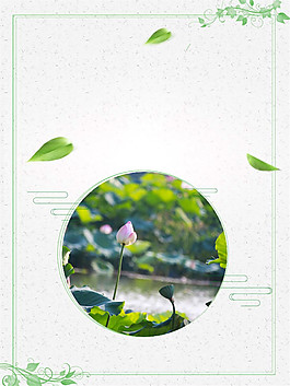 夏季荷塘夏至海報背景設(shè)計