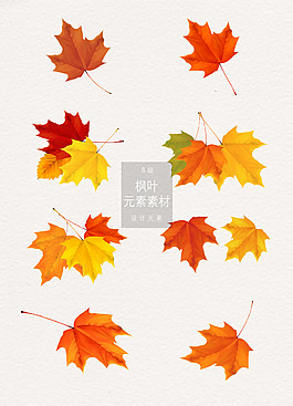 精美的卡通彩色楓葉素材