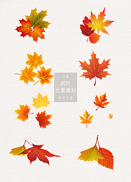 卡通秋天楓葉免扣素材