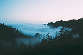 活泼节奏明朗开场音效