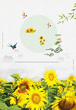 小暑节气向日葵花海背景设计