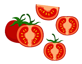新鲜西红柿切片矢量图