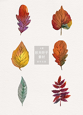 秋天楓葉葉子