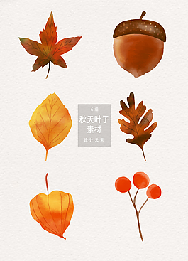 手繪秋天楓葉葉子素材