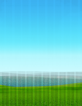 藍天大海草地背景