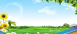 清新教育banner背景