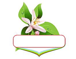 百合花綠葉對話框創(chuàng)意圖