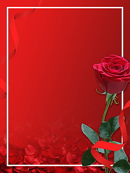大红玫瑰花瓣白色边框国际接吻日背景素材