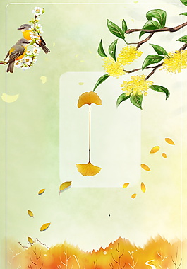 立秋节气桂花枝落叶背景