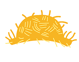 黄色夏季