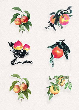 手绘桃子和树叶png高清图片