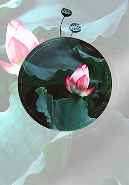 淡雅清新荷花廣告背景