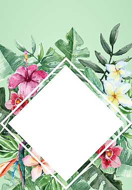 正方形相框手绘花朵叶子绿色背景