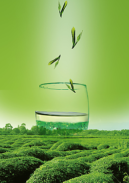 绿色茶业海报背景素材