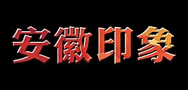 安徽印象藝術字立體字字體設計