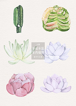 手绘水彩多肉植物